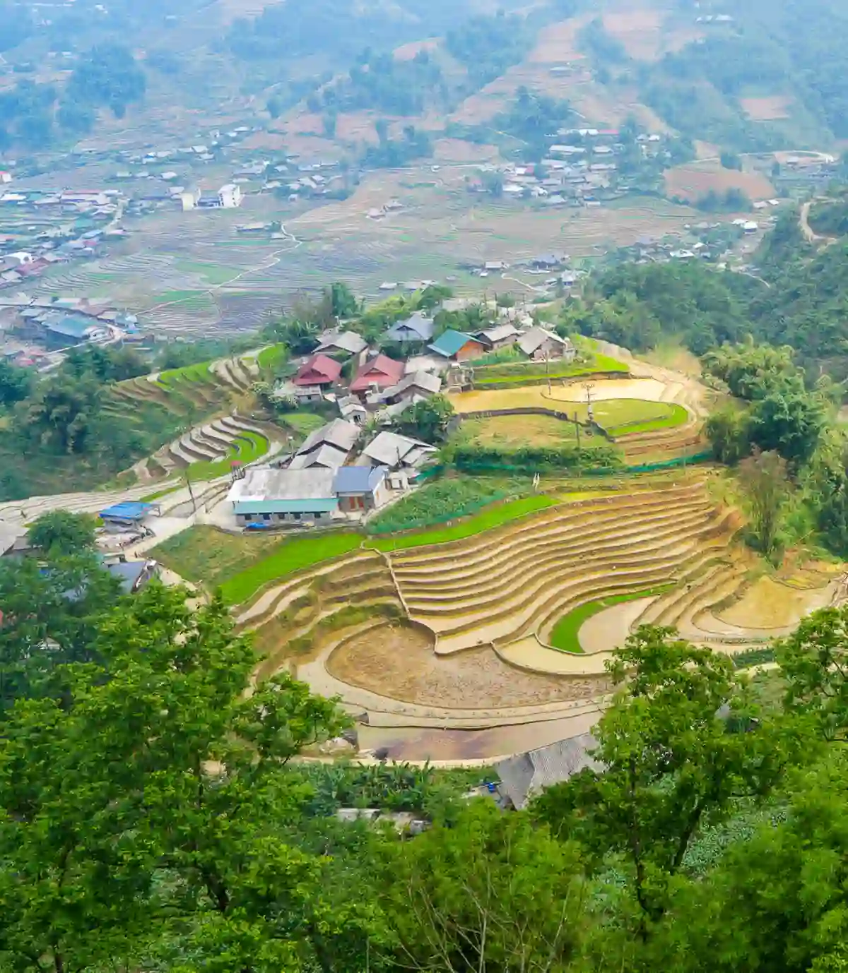 Rice Season Tour